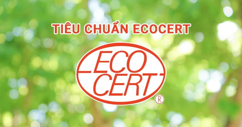Ecocert - chứng nhận quan trọng cam kết được sản phẩm an toàn cho bé yêu
